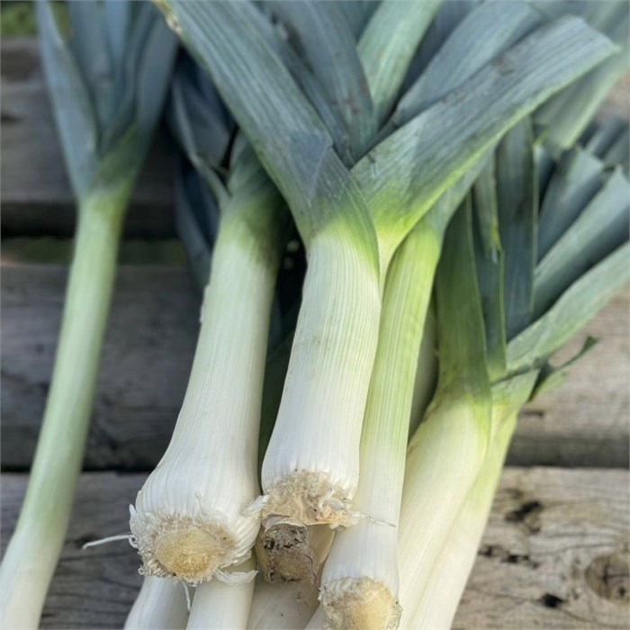 Лук-порей молодой, О,Батат, 300 г 687647405