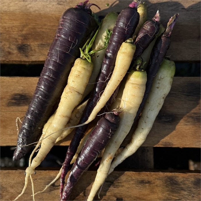 Морковь белая, О,Батат, 500 г 7348