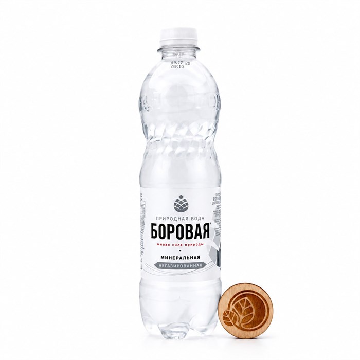 Вода минеральная лечебно-столовая негазированная, БОРОВАЯ 7543