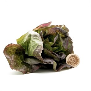 {{productViewItem.photos[photoViewList.activeNavIndex].Alt || productViewItem.photos[photoViewList.activeNavIndex].Description || 'Романо мини красный, О,Батат, 150 г'}}