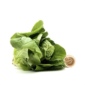 {{productViewItem.photos[photoViewList.activeNavIndex].Alt || productViewItem.photos[photoViewList.activeNavIndex].Description || 'Романо, О,Батат, 300 г'}}