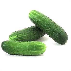 Огурцы органические, Хутор Соколовский, 500 г 7261
