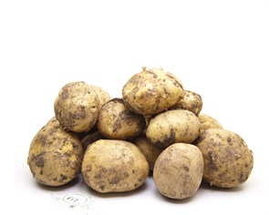 {{productViewItem.photos[photoViewList.activeNavIndex].Alt || productViewItem.photos[photoViewList.activeNavIndex].Description || 'Картофель, Ферма М2, 2,5 кг'}}