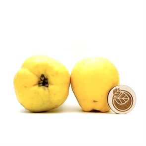 Айва, Лилит Багдасарян, 500 г 593751060