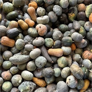 Тыква, О,Батат, 600 г 7324