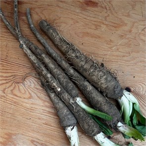 Корень цикория, Экоферма Васильки, 300 г 7346