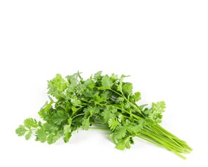 Кинза свежая, 50 г 7426