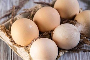 Яйцо куриное С1, Ферма Евгения Рошаля, 10 шт 7496