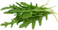 Руккола органическая, Экоферма Васильки, 100 г 680216788 - фото 11998