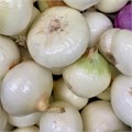 Лук репчатый органический, КФХ БиоТория, 500 г 7245 - фото 15252