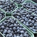 Голубика органическая замороженная, Фермерское хозяйство Здоровая Ягода, 300 г 7529